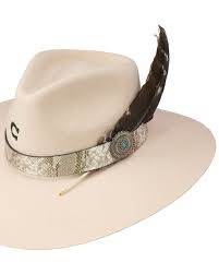 Charlie 1 Horse 'Sidewinder' Hat