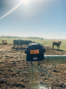 Highridge Honey ball cap