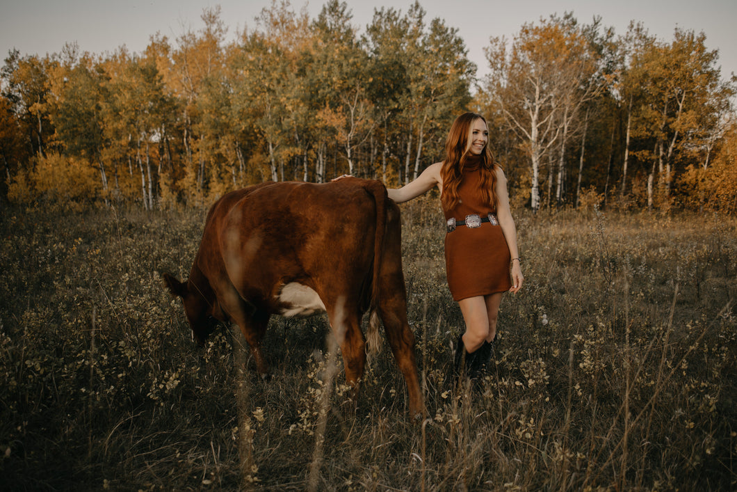 the 'rosie' dress